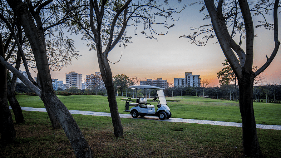 a golf buggy