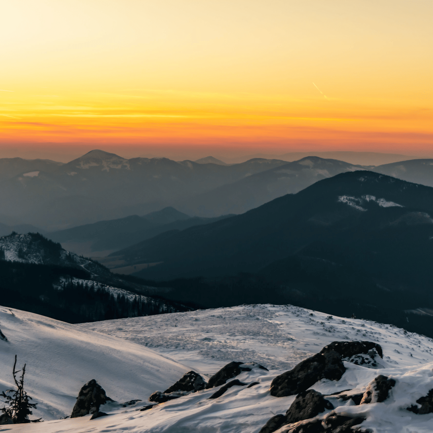 pexels-jedrzej-koralewski-14125120-31223509