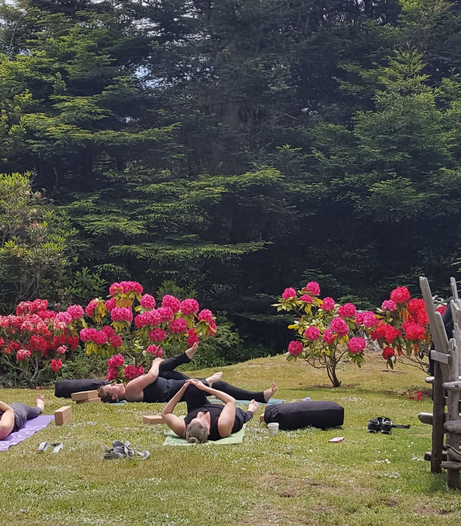 A private yoga session on a well manicured lawn surrounded by lush greenery | Brewery Gulch Inn & Spa