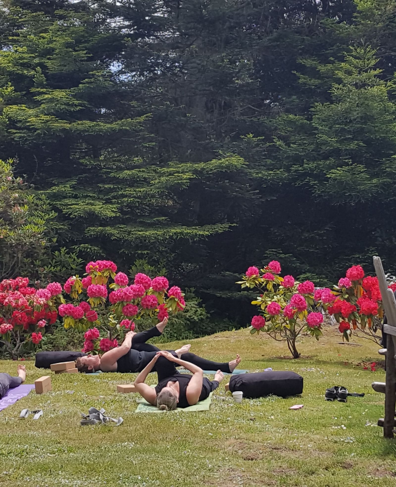 A private yoga session on a well manicured lawn surrounded by lush greenery | Brewery Gulch Inn & Spa