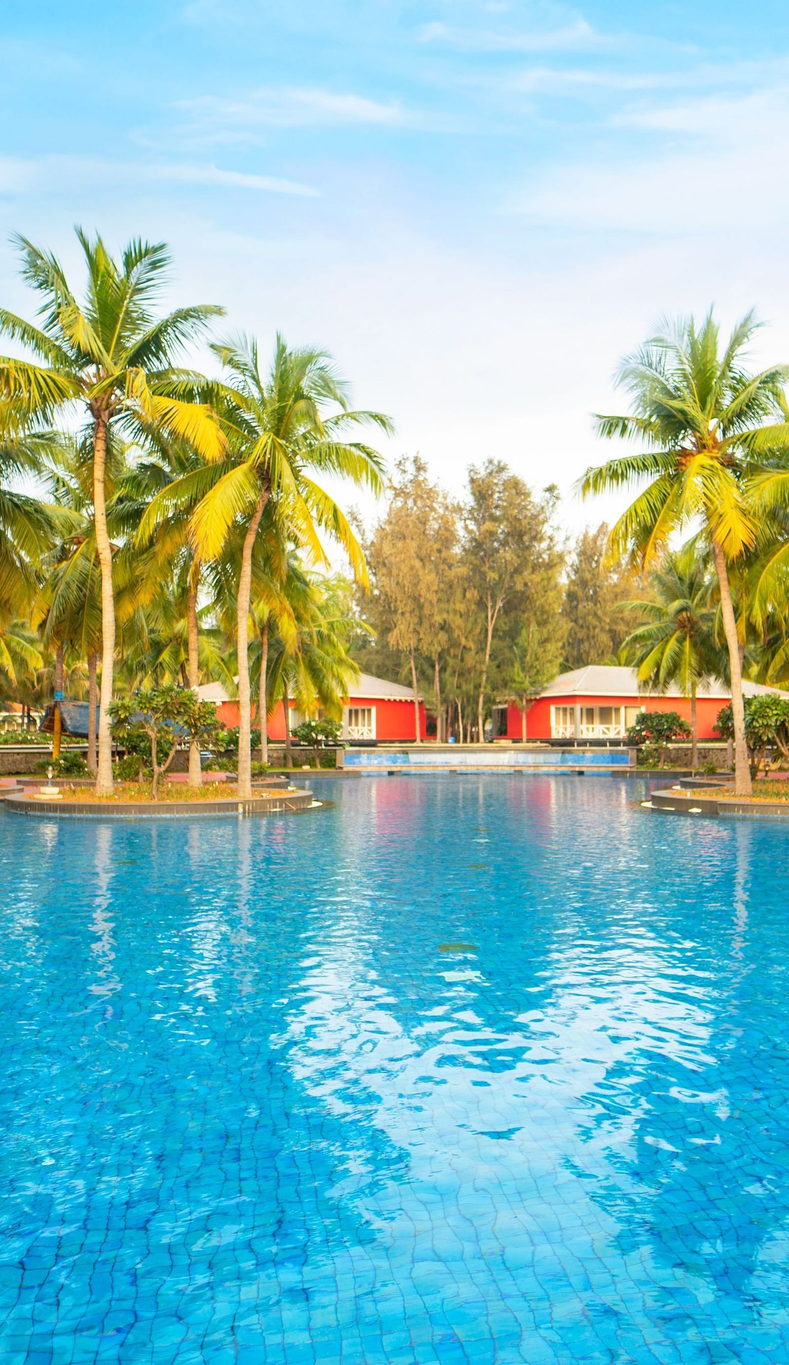 Swimming Pool surrounded by coconut trees at Ocean Spray Puducherry