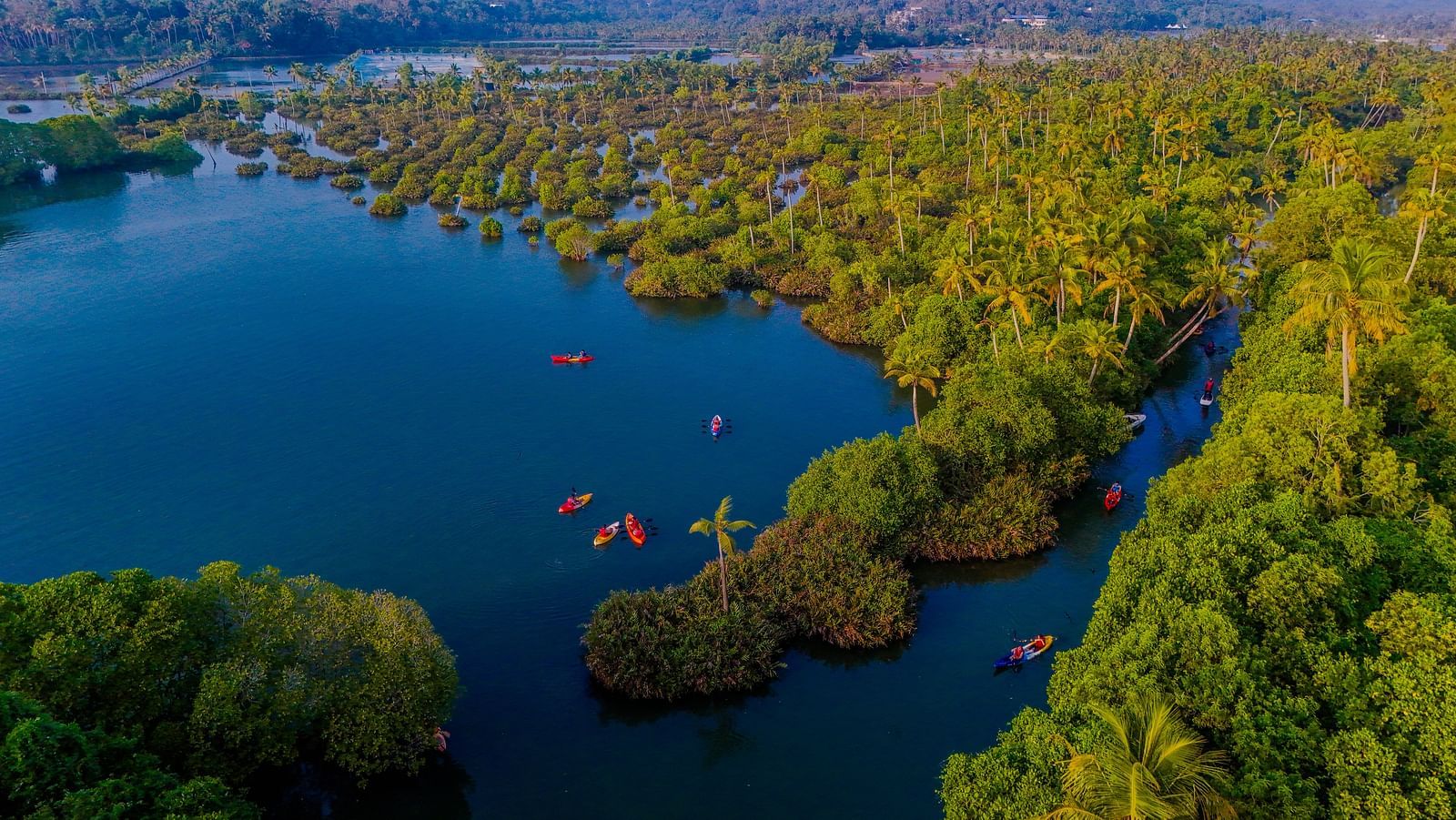 Aerial view of a river flowing through a lush tropical landscape.