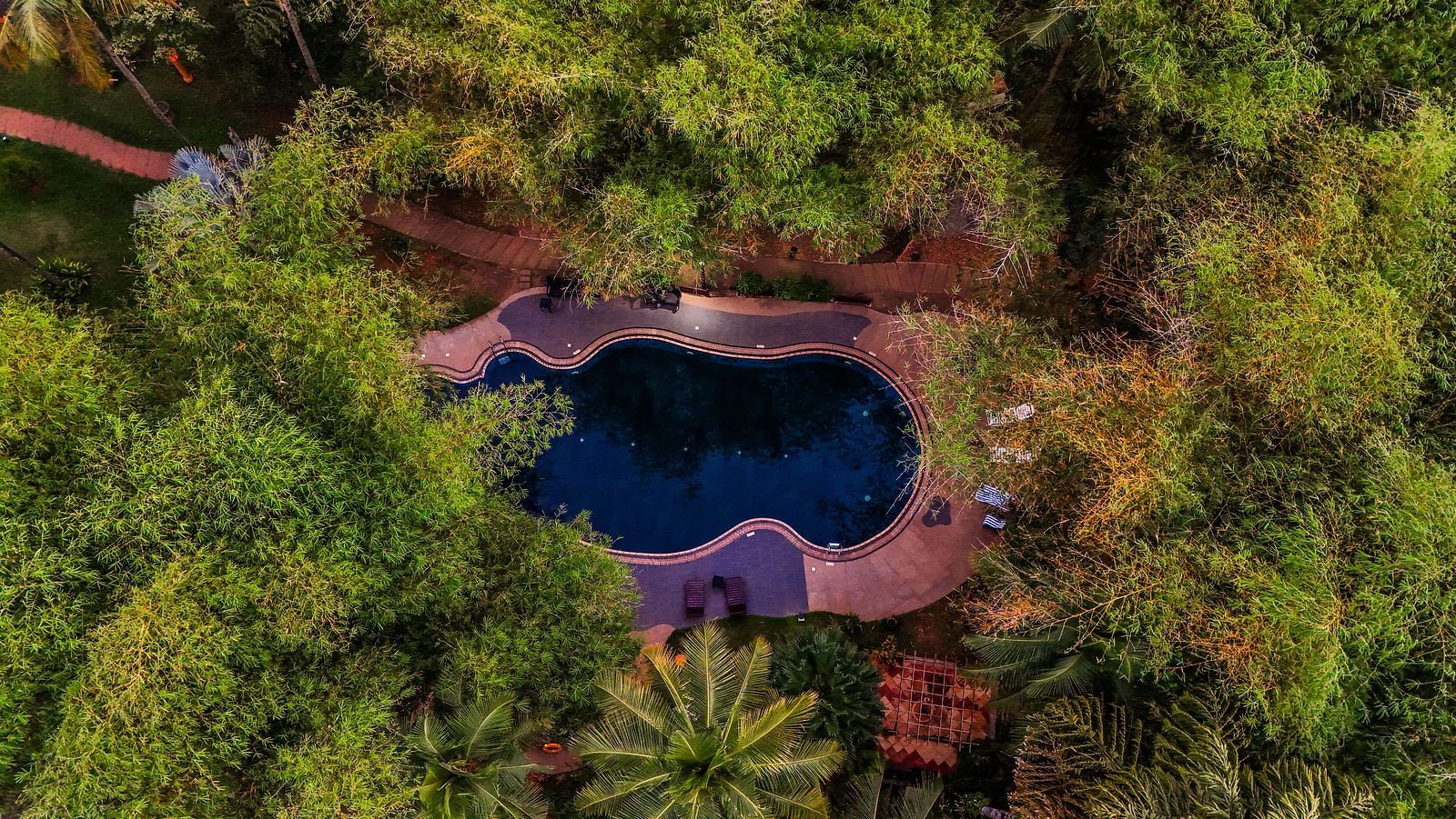Aerial view of a private pool surrounded by lush greenery.