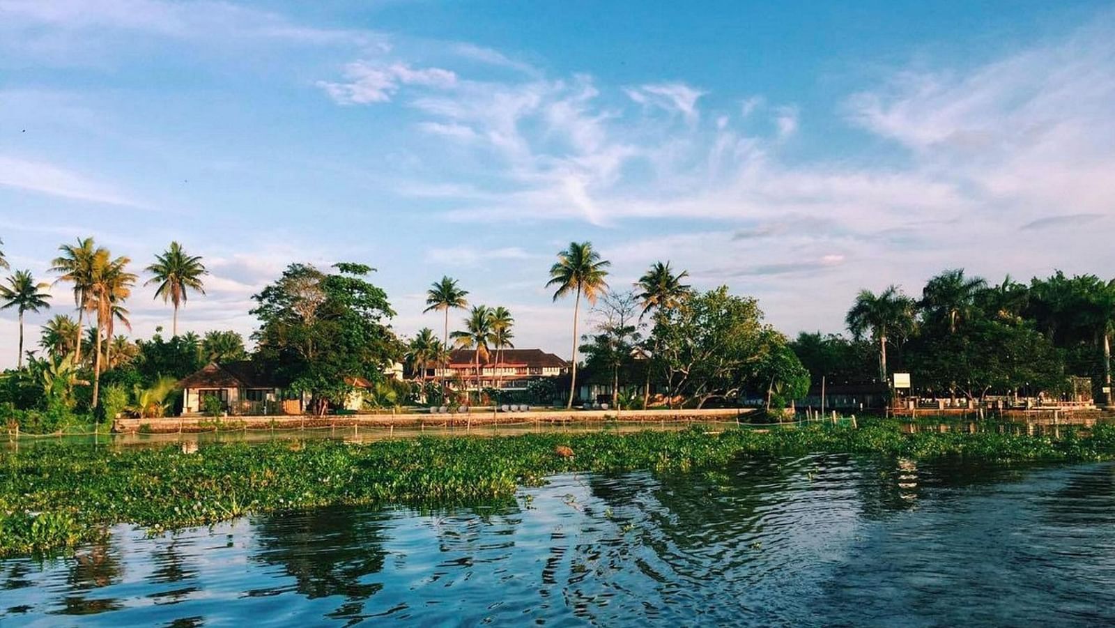 Image of the backwaters of Kerala under a clear sky on a sunny day