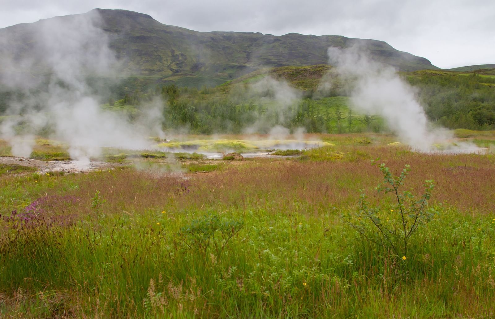 An overview of hot springs surrounded by greenery with vapour rising from it and a mountain in the background.