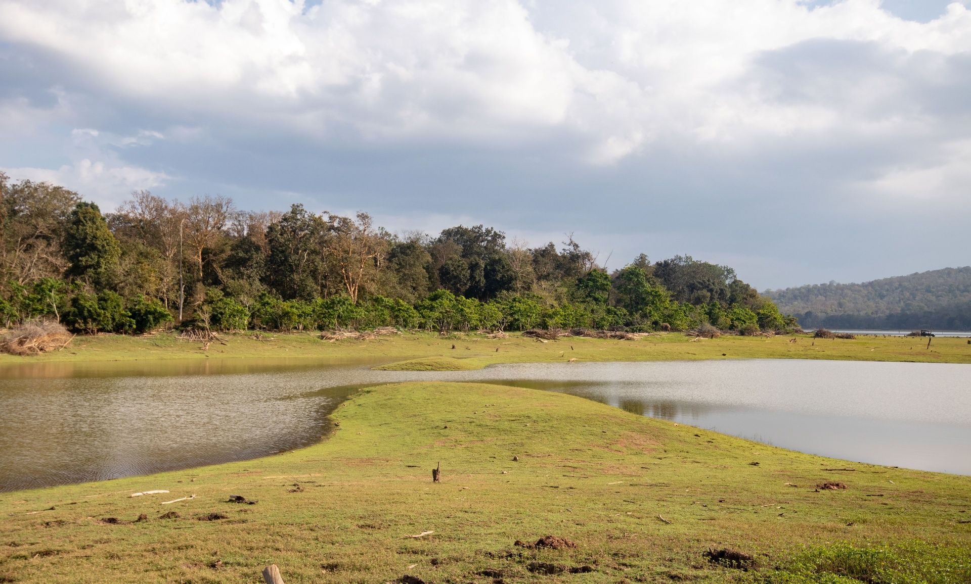 Kabini Lake with a grassy foreground and lush forest.