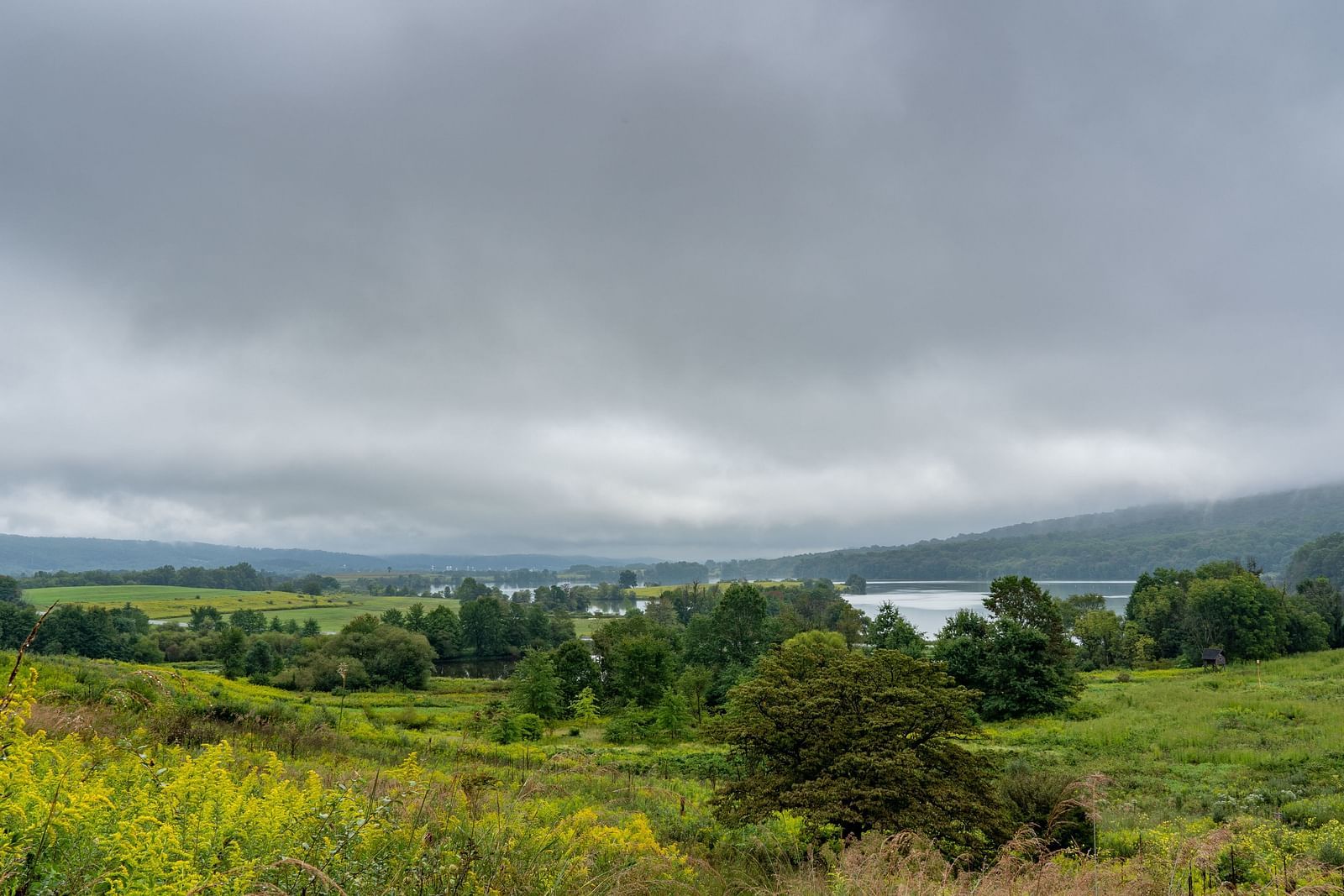 an image of a beautiful view of a landscape with greenery and cloudy sky