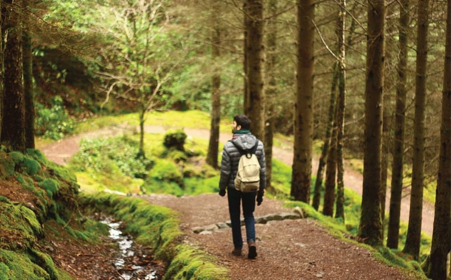 Trekking
