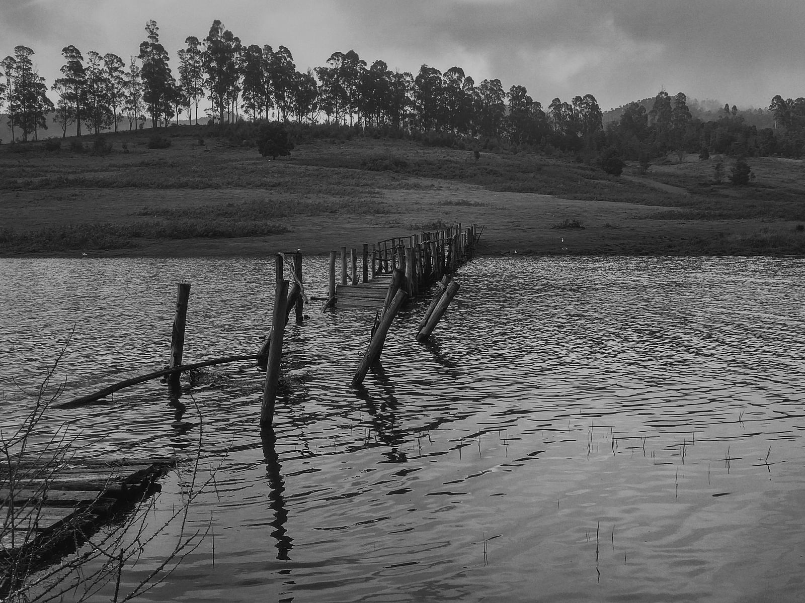 A black and white image depicts a body of water with wooden structures and trees in the background.