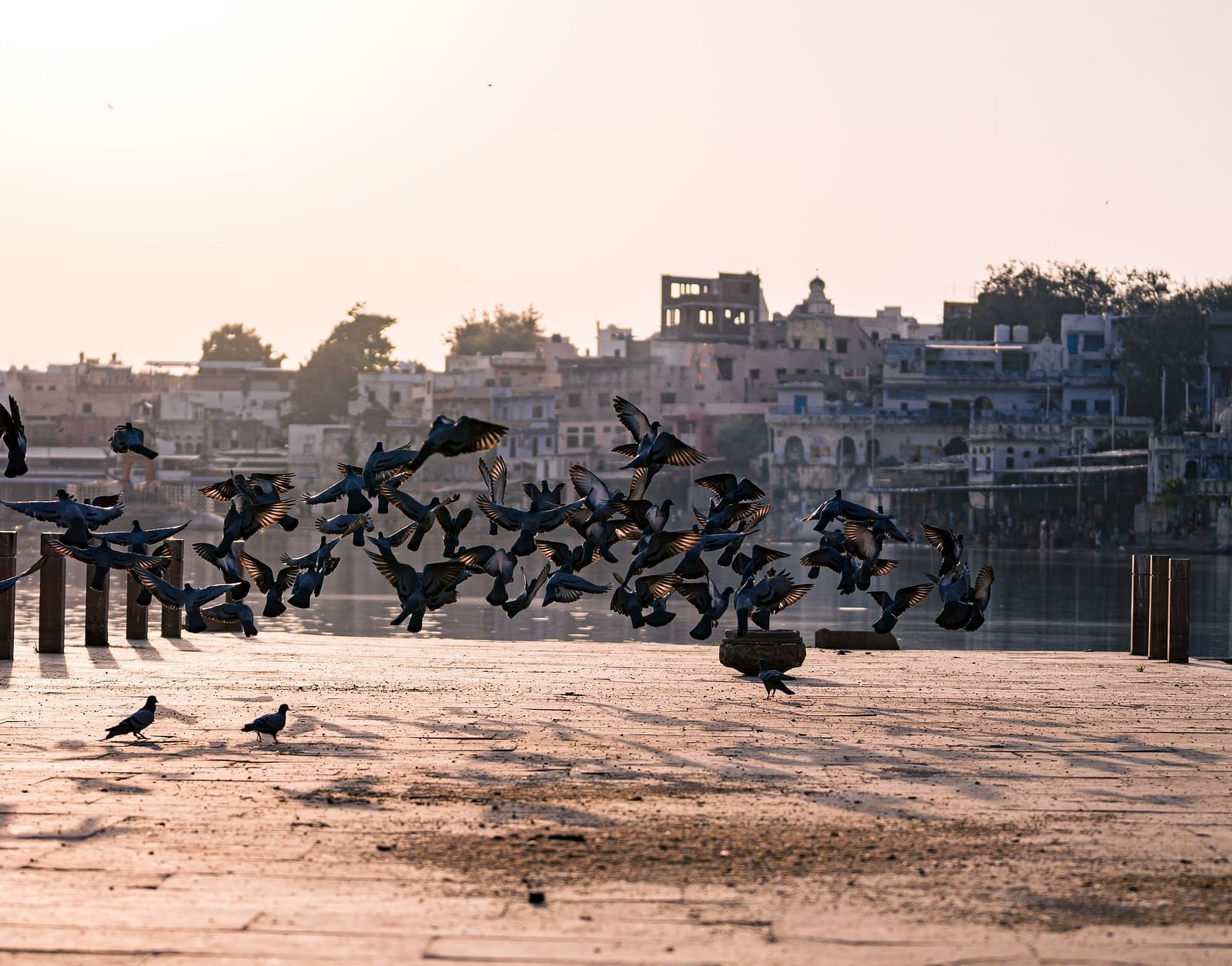 A landscape shot birds are flying in the sky near a lake.