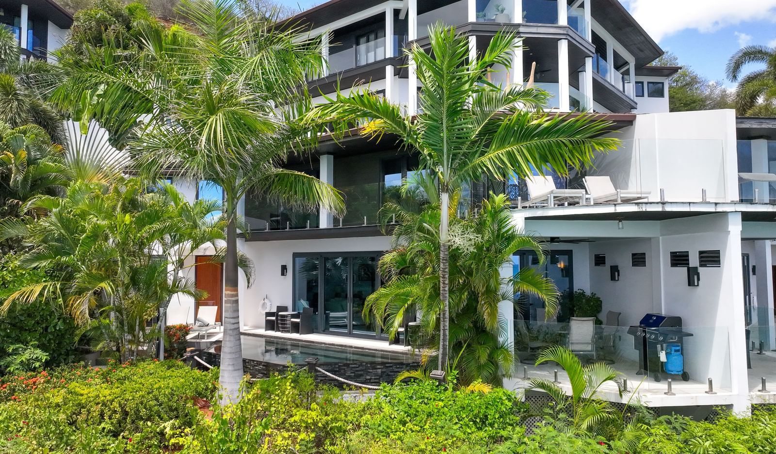 Oasis Image 1