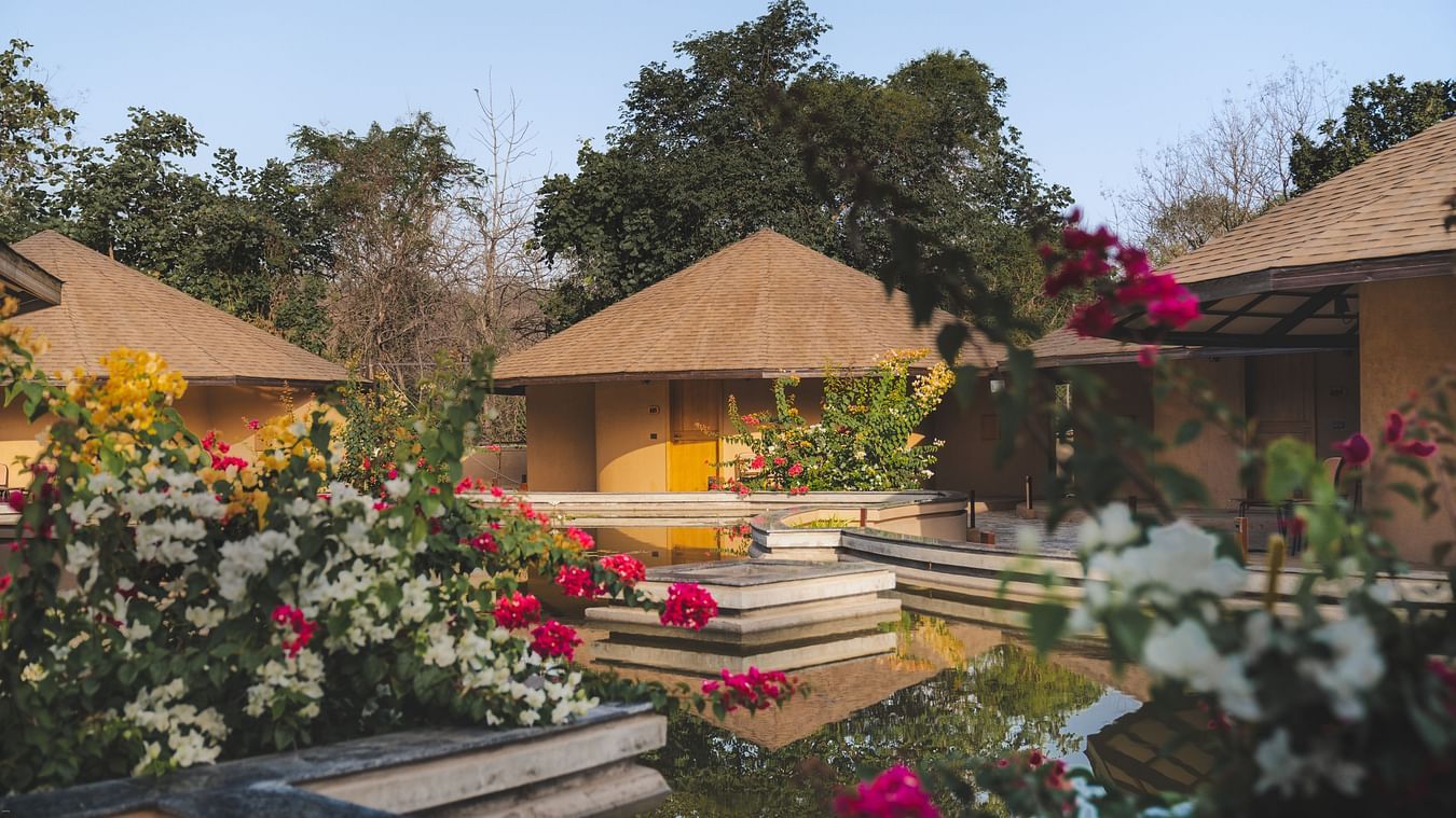 Premium Villa