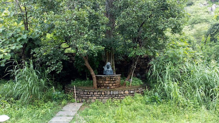 Surya Bagh - Landscape