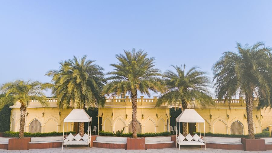 Palm pool(2)