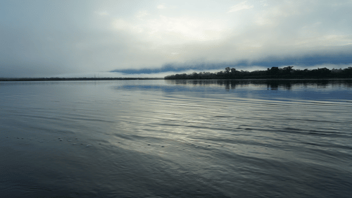 An overview of a river with trees in the distance and white clouds in the sky.