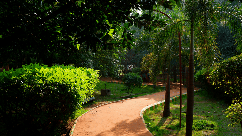 A brick pathway in a park surrounded by manicured plants on a sunny day
