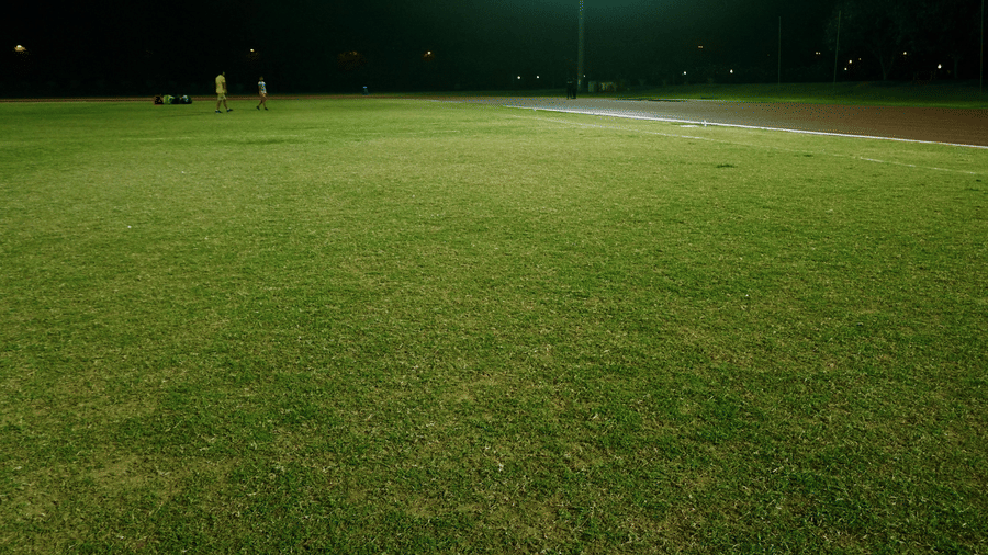 A large and empty lawn illuminated by a lampost during the night.