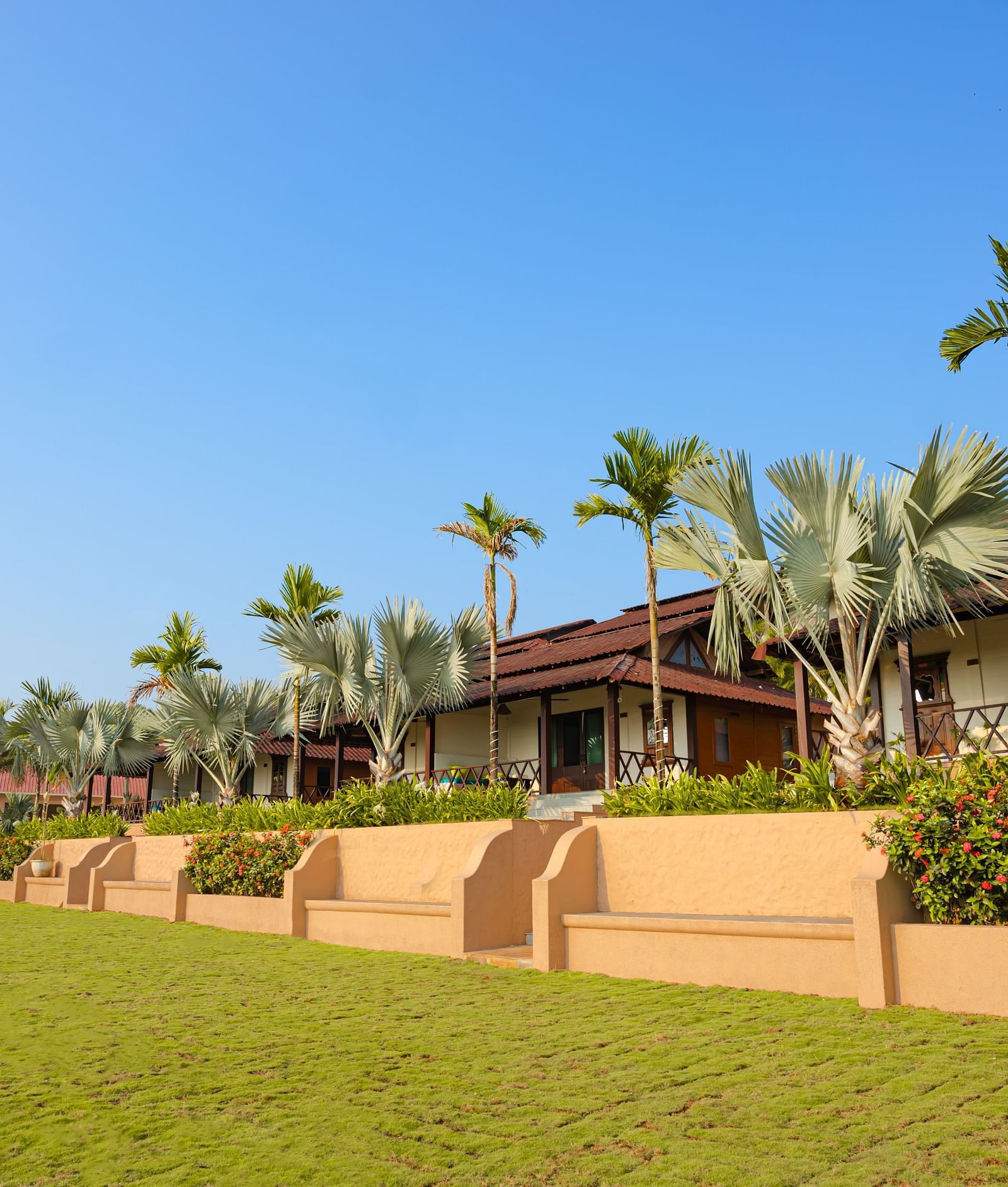 A facade of a horizontally long building with coconut trees in front of the same, in a grass lawn - Crescent Resorts