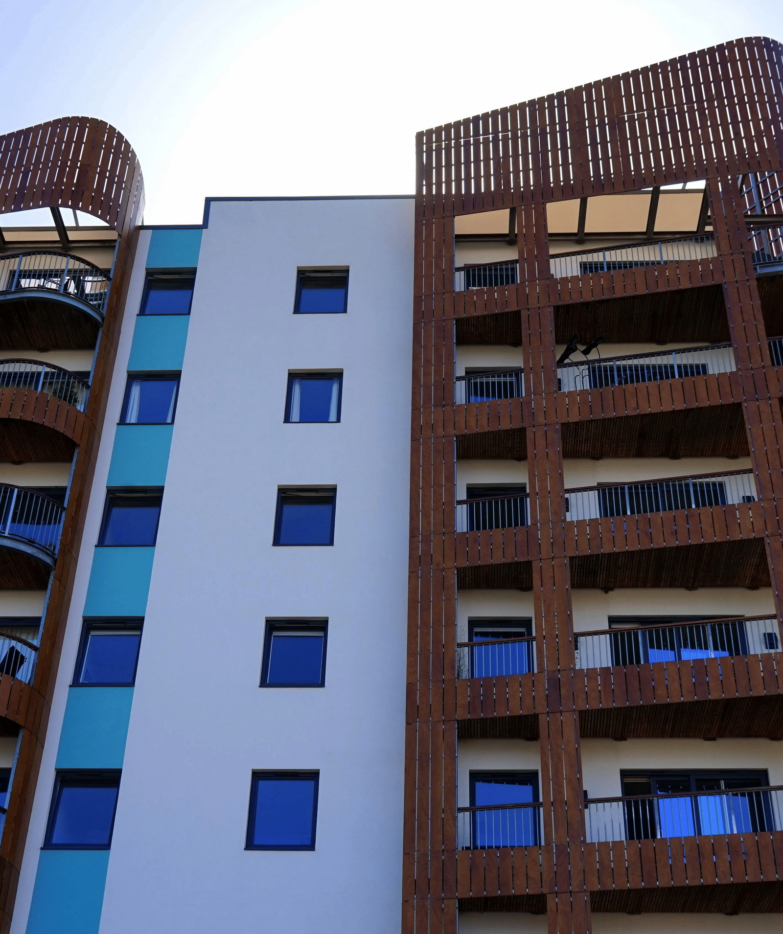 pexels-mikebirdy-144632 gqf5rf