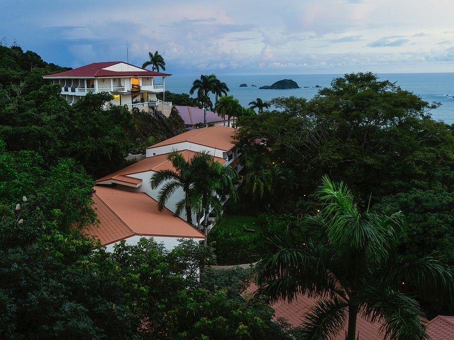 aerial view of houses in Goa with trees around