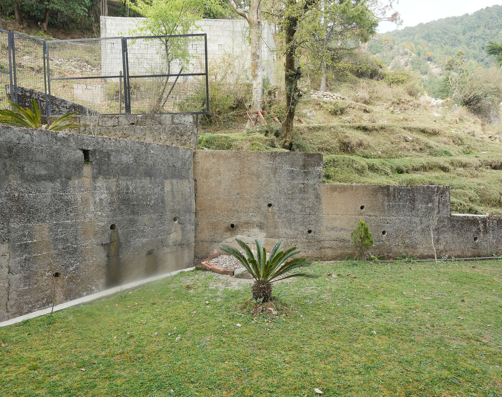 Side View-1