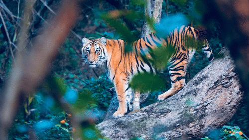 20181128 135323000 iOS