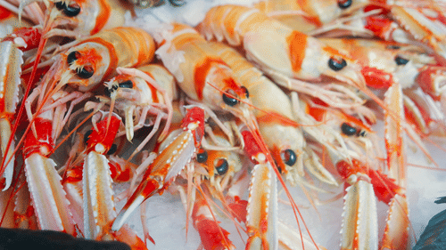 A close up shot of many prawns kept on ice to be sold to customers