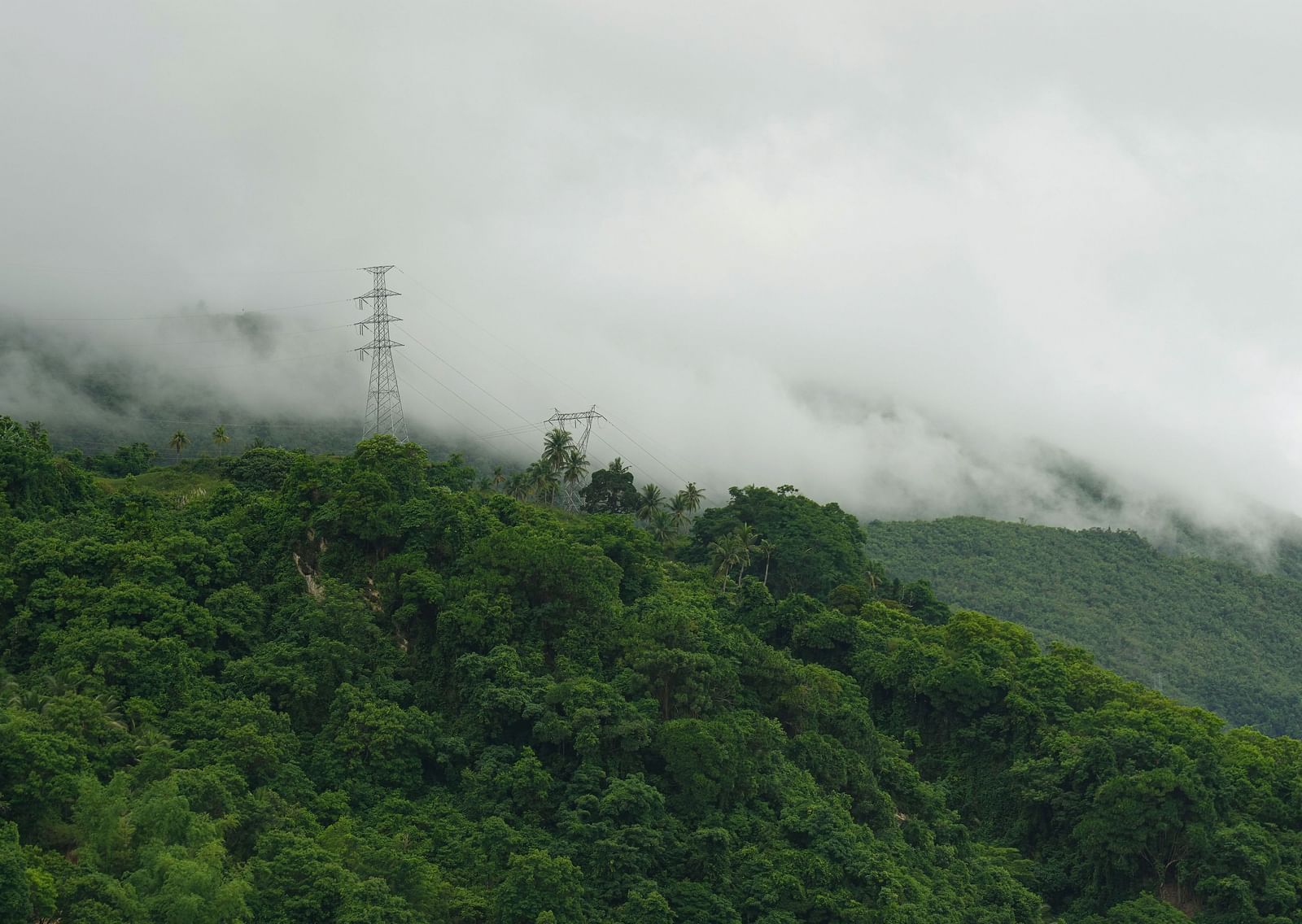 An overview of a hill covered in greenery with a thick layer of fog covering its top.