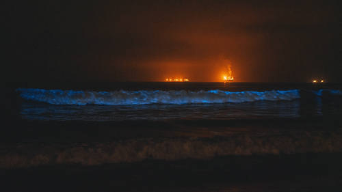 Waves with bioluminiscence