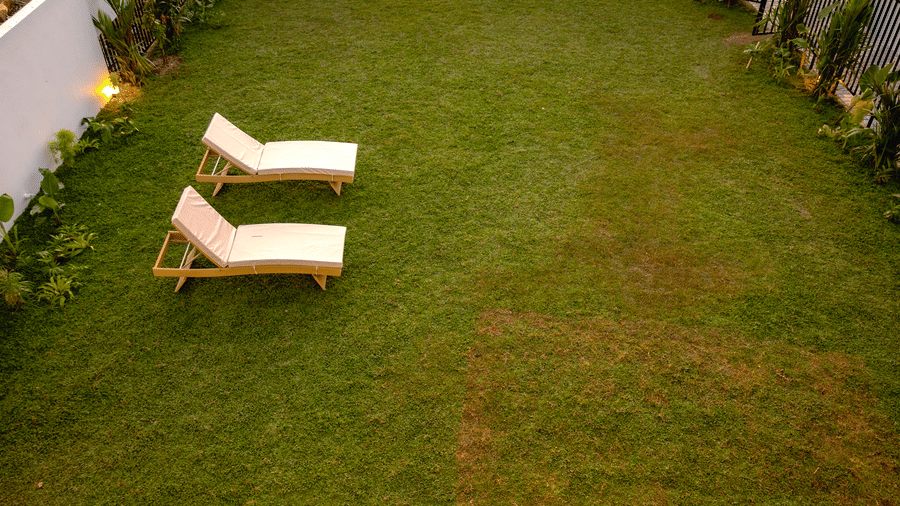 An aerial view of 2 lounge chairs arranged side-by-side on a green grass lawn near a white wall with foliage at SUKAVI.