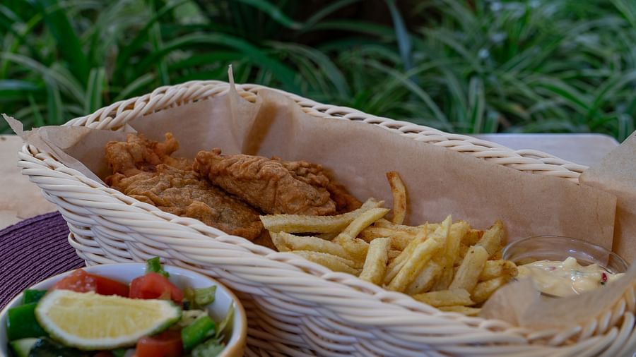 Bashasha Food-10