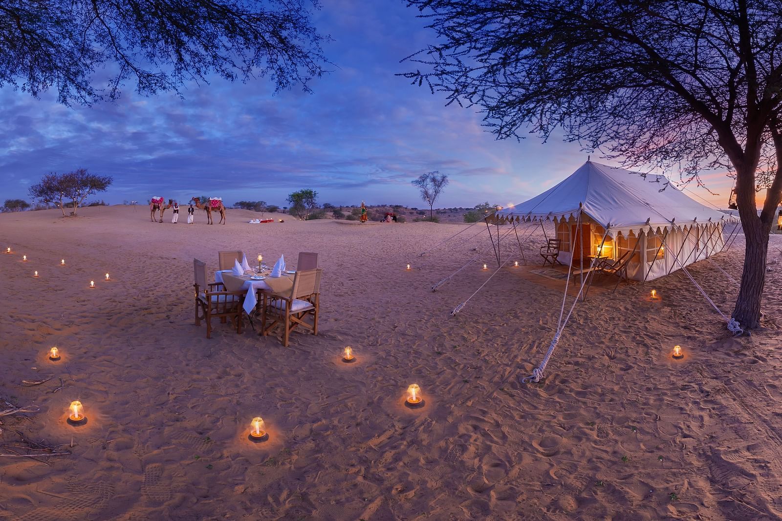 An image of a tent in the desert with a outdoor dining area with chairs and table decorated with lighting and two trees in the foreground