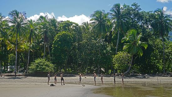 A picture featuring multiple trees and a water body in the front