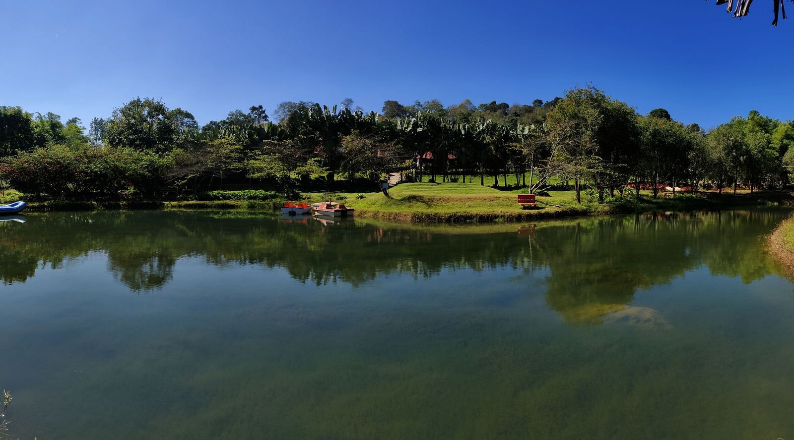 LakA panoramic view of a tranquil lake reflecting trees and a clear blue sky, with paddle boats moored along the grassy shore, surrounded by lush greenery and landscape.