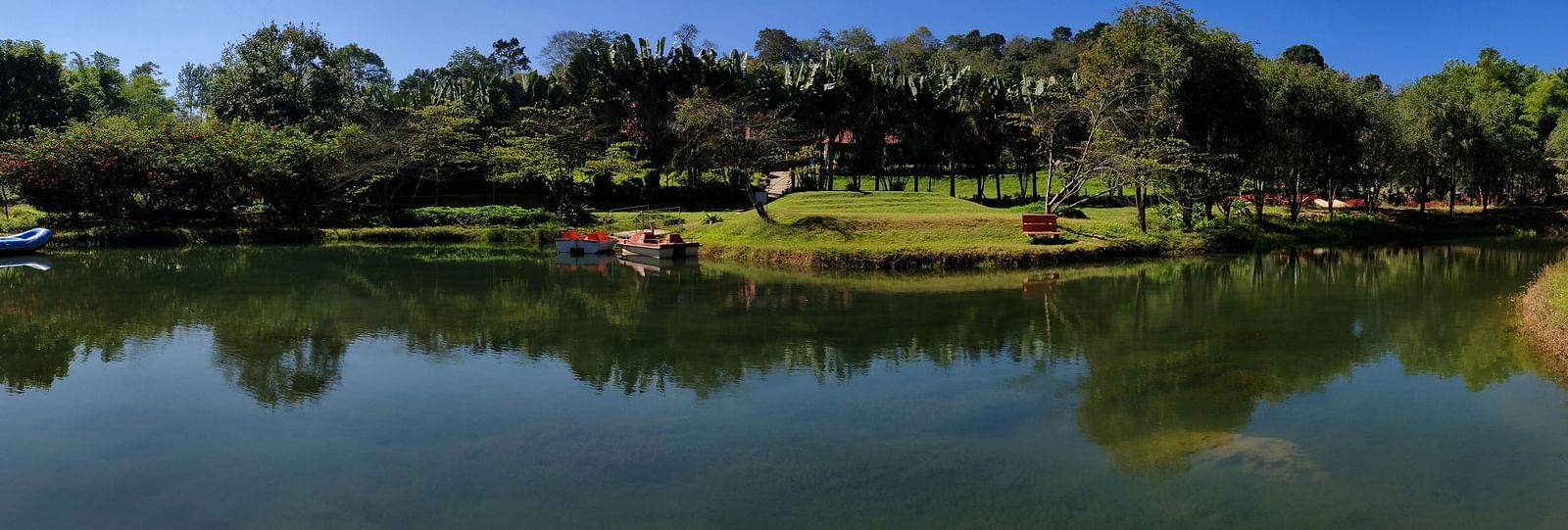 LakA panoramic view of a tranquil lake reflecting trees and a clear blue sky, with paddle boats moored along the grassy shore, surrounded by lush greenery and landscape.