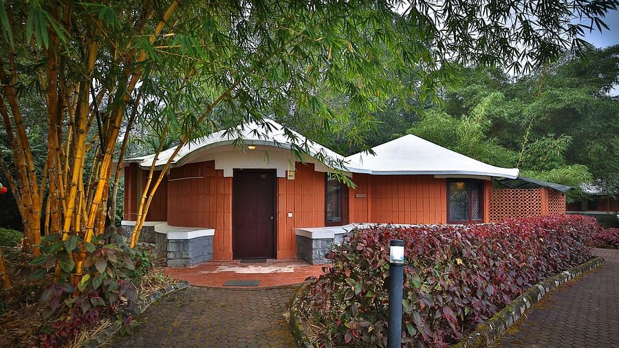 a pathway with bushes on both sides leading to a cottage - Kadkani River Resort, Coorg