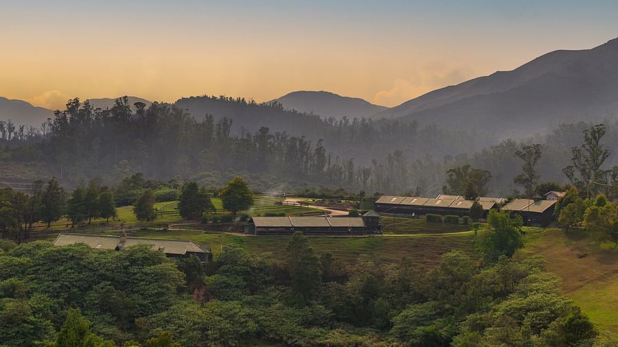 view of destiny the farm resort surrounded by lush green hills and mountains