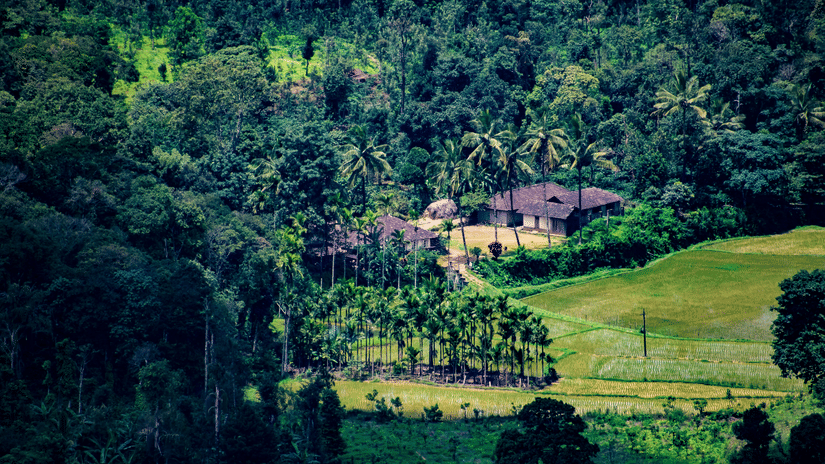 Aerial view of a landscape blanketed with greenery on a sunny day