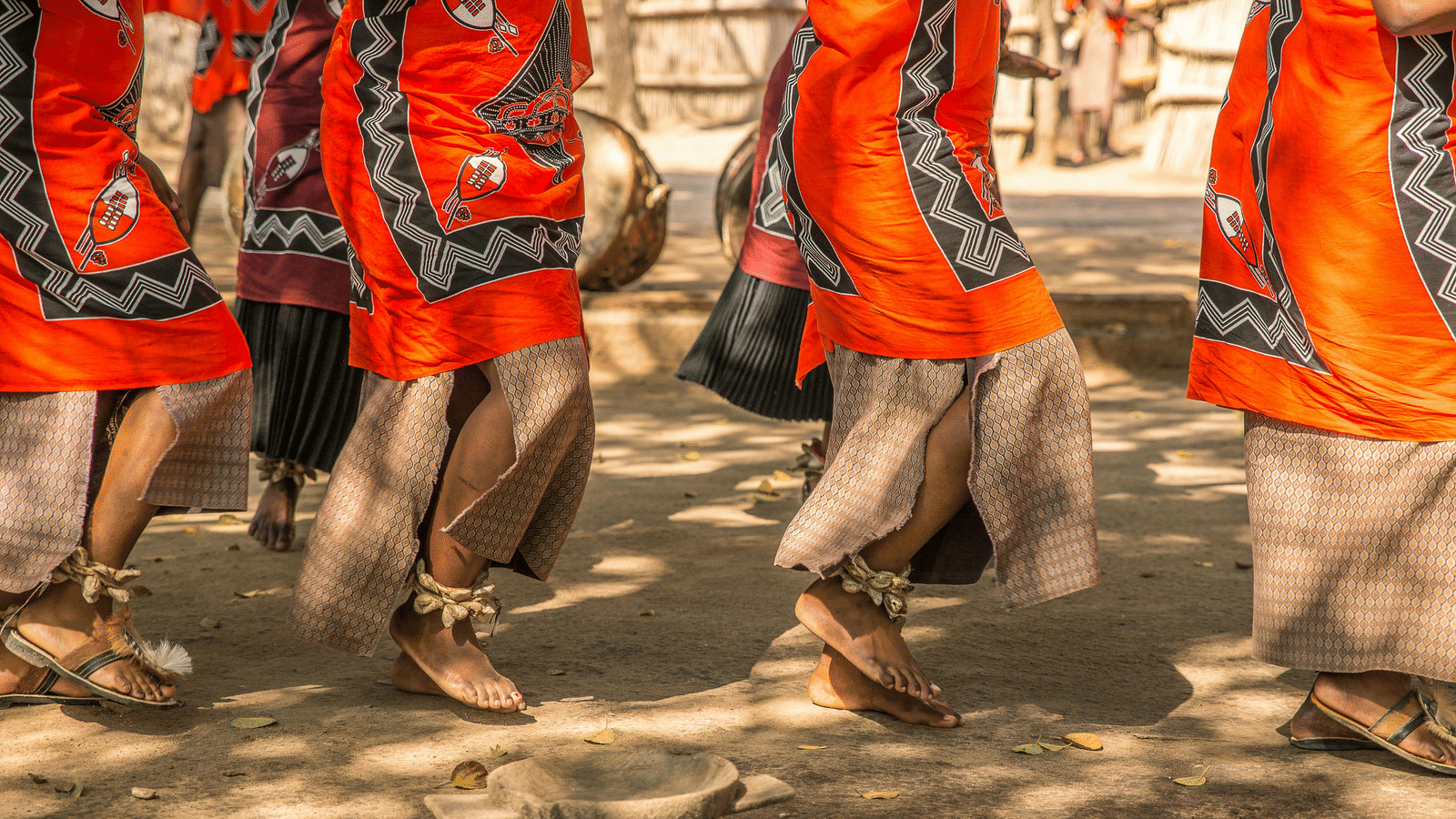 pexels-mike-van-schoonderwalt-1884800-5504225