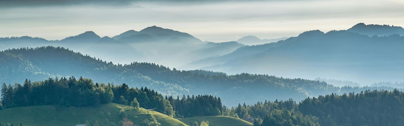 A scenic view of mountains with lush greenery