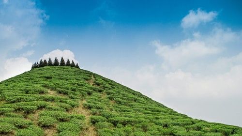 rajat-sarki- YNRc1PaNKs-unsplash