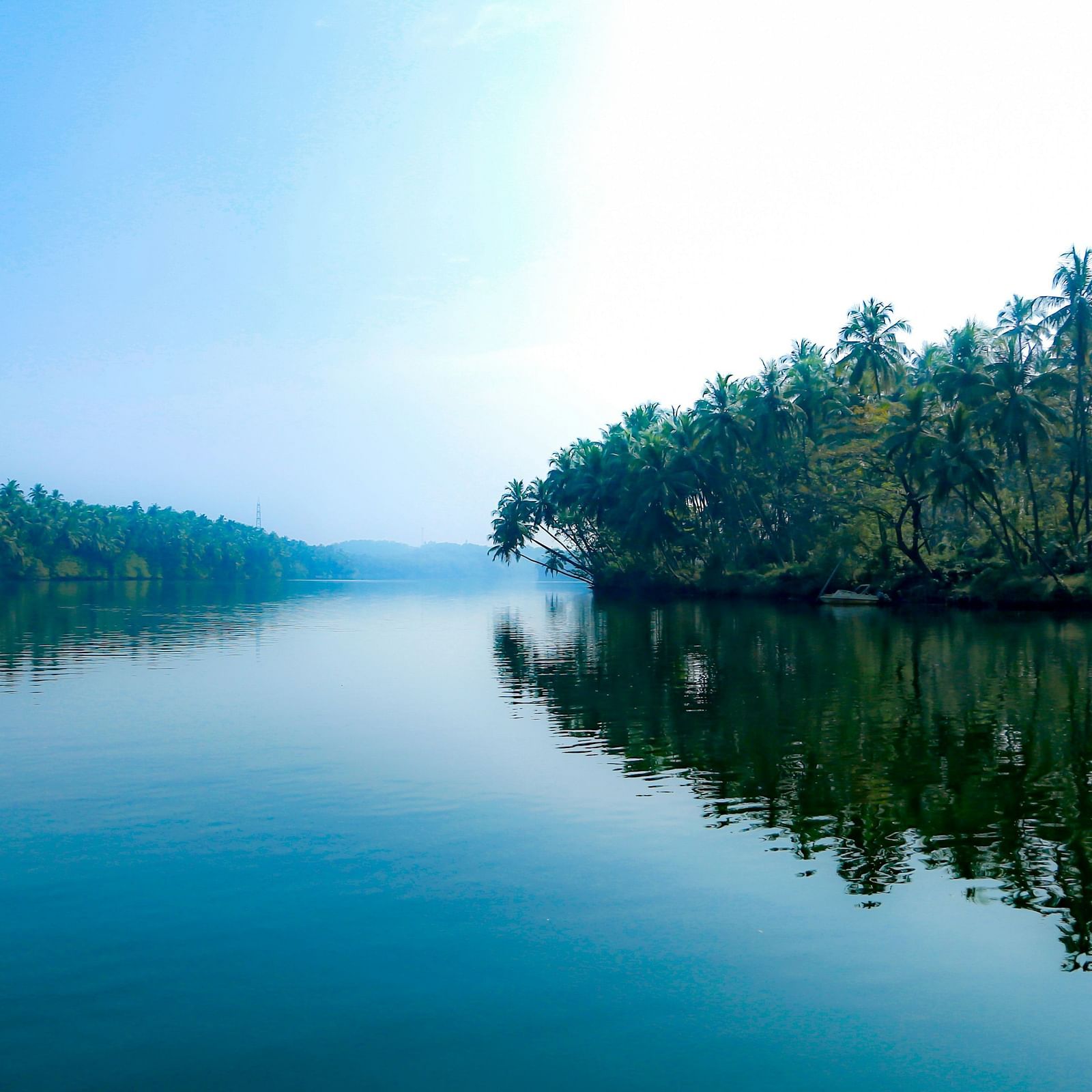 A serene river landscape with calm waters reflecting the sky, bordered by dense tropical foliage and palm trees under a clear sky.