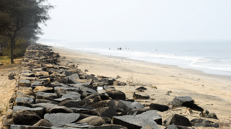 Sapphire Club Cherai Beach Villa Kochi Around Sapphire Club Cherai Beach Villa 8
