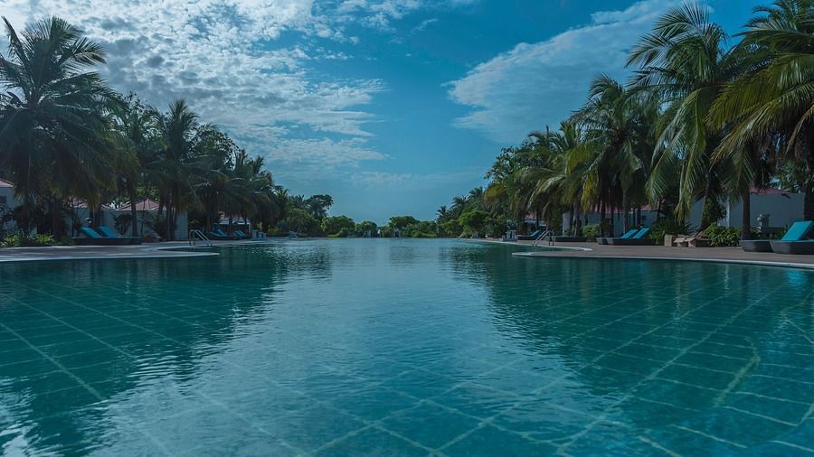 Swimming pool at Chariot Beach Resort in Mahabalipuram 5