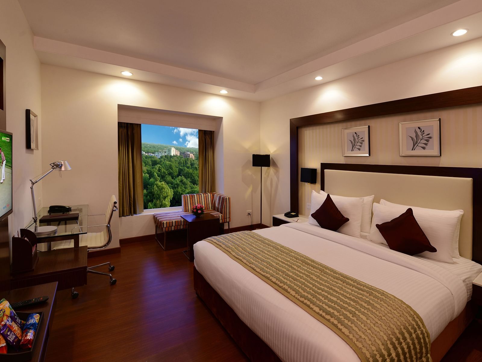 Deluxe room