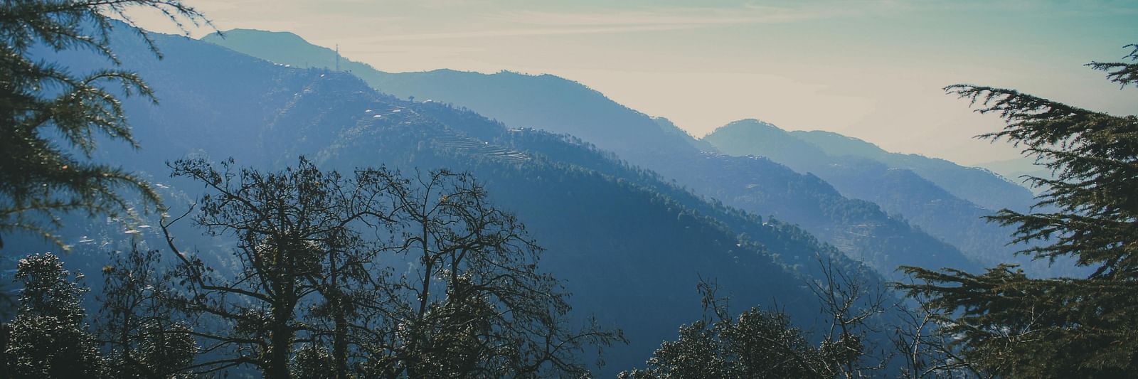 An overview of a mountains covered with trees and lush greenery.