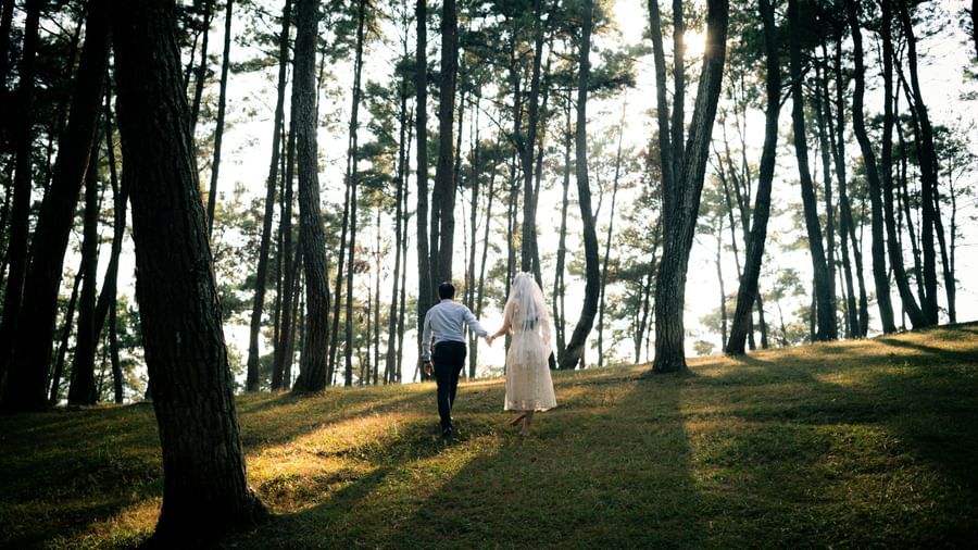 A newly married couple walks hand-in-hand through a sunlit forest, a beautiful setting near the Tallman Hotel.
