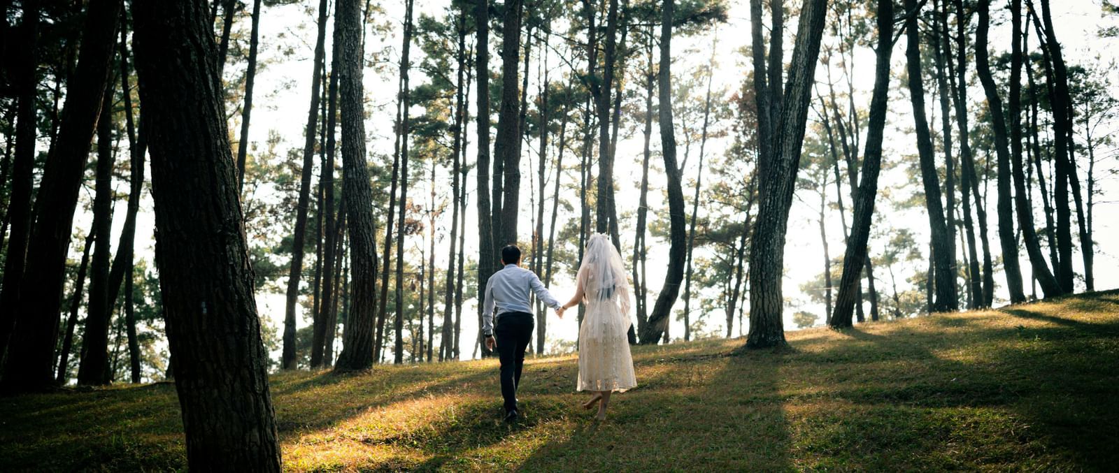 A newly married couple walks hand-in-hand through a sunlit forest, a beautiful setting near the Tallman Hotel.
