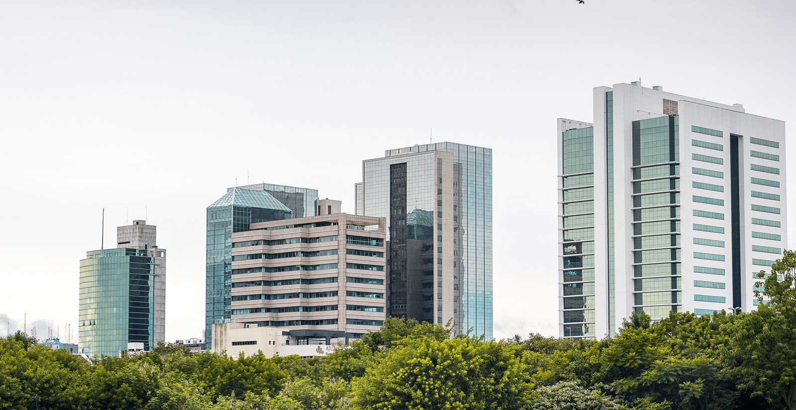 pexels-leandrobez-6664260