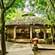 Tiger Camp Corbett Cafe